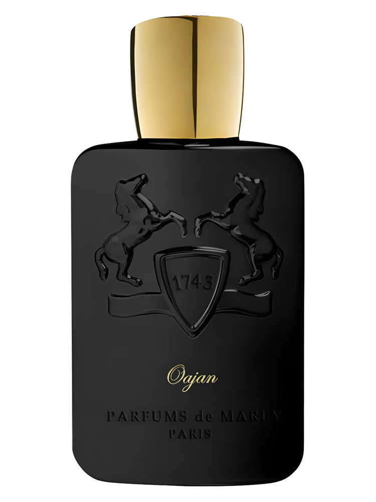 Oajan Premium Magnetic Travel Atomizer